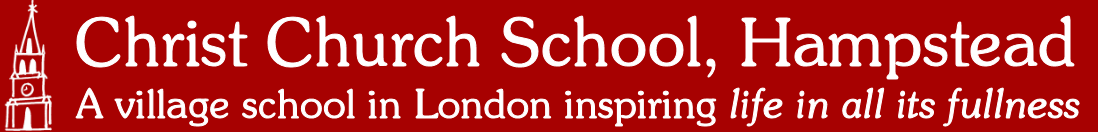 School Logo